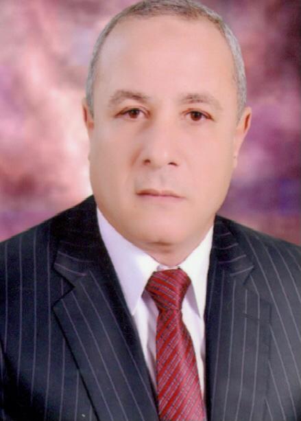 Mohamed Salah El-Din El-Sayed Mewaly 
